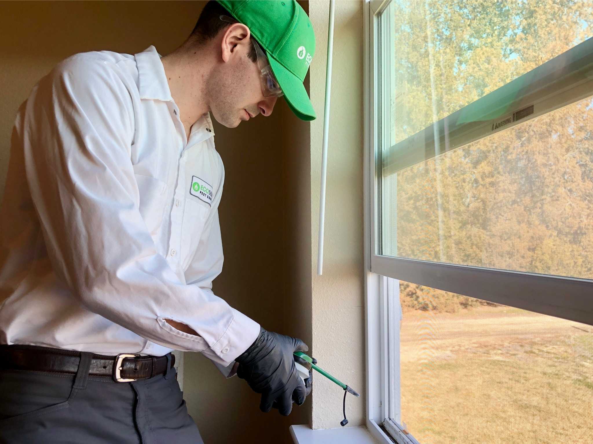 Pest Control Boise Boise's Best Exterminator